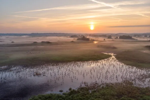 park narodowy doliny dolnej odry