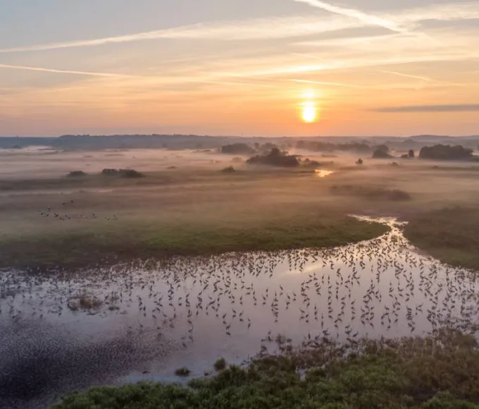 Międzyodrze będzie Drawieńskim Parkiem Narodowym? Jest deklaracja z ministerstwa 14 park narodowy doliny dolnej odry