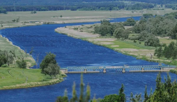 odra widuchowa