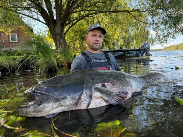sum gigant ze szczecina