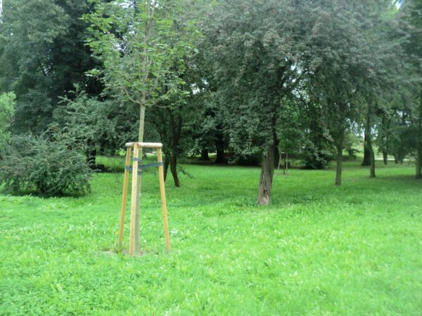 smutny koniec placu zabaw na golęcinie. jest szansa na to, aby powrócił?
