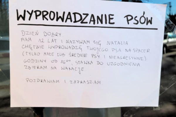 12-latka ze szczecina wyprowadza psy, by zarobić na wakacje. problem? dokuczające dzieci