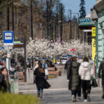 brak planów na niedzielę? sprawdzamy, co dziś dzieje się w szczecinie