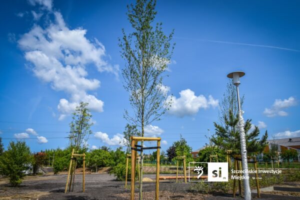 nowy park przy złotowskiej już zachwyca, a to dopiero początek