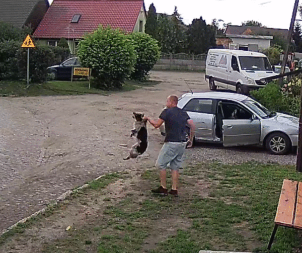 wstrząsające nagranie z ognicy. mężczyzna rzuca psem o ziemię