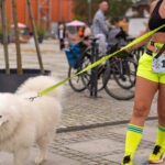 niedziela w szczecinie pełna wydarzeń. sprawdź, co się dzieje 27 lipca