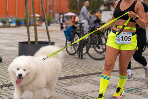 niedziela w szczecinie pełna wydarzeń. sprawdź, co się dzieje 27 lipca