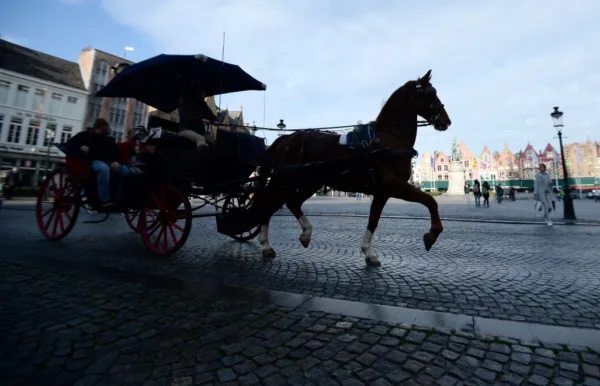 w świnoujściu koń z dorożką padł przy promenadzie. sprawę bada prokuratura