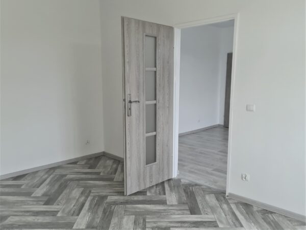 lokale socjalne w szczecinie. znamy terminy naborów