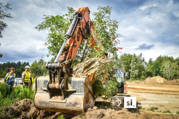 mrówki mają nowy dom. przeprowadzka na trasie przyszłej drogi w szczecinie