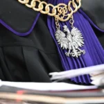 zmiażdżone mięśnie i złamana czaszka. brutalny atak na kota w benicach