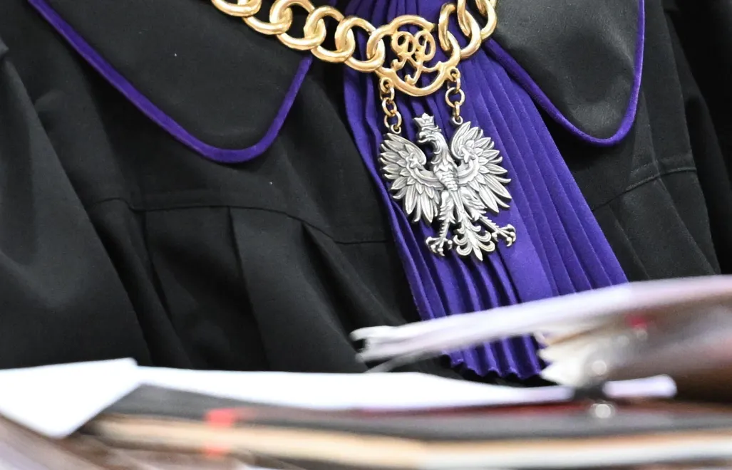 zmiażdżone mięśnie i złamana czaszka. brutalny atak na kota w benicach