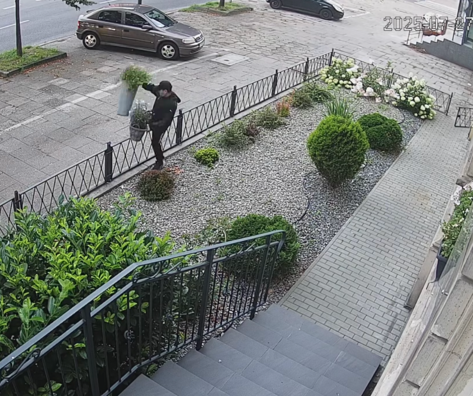 florystyczny amator grasuje na kopernika! złodziej doniczek poszukiwany
