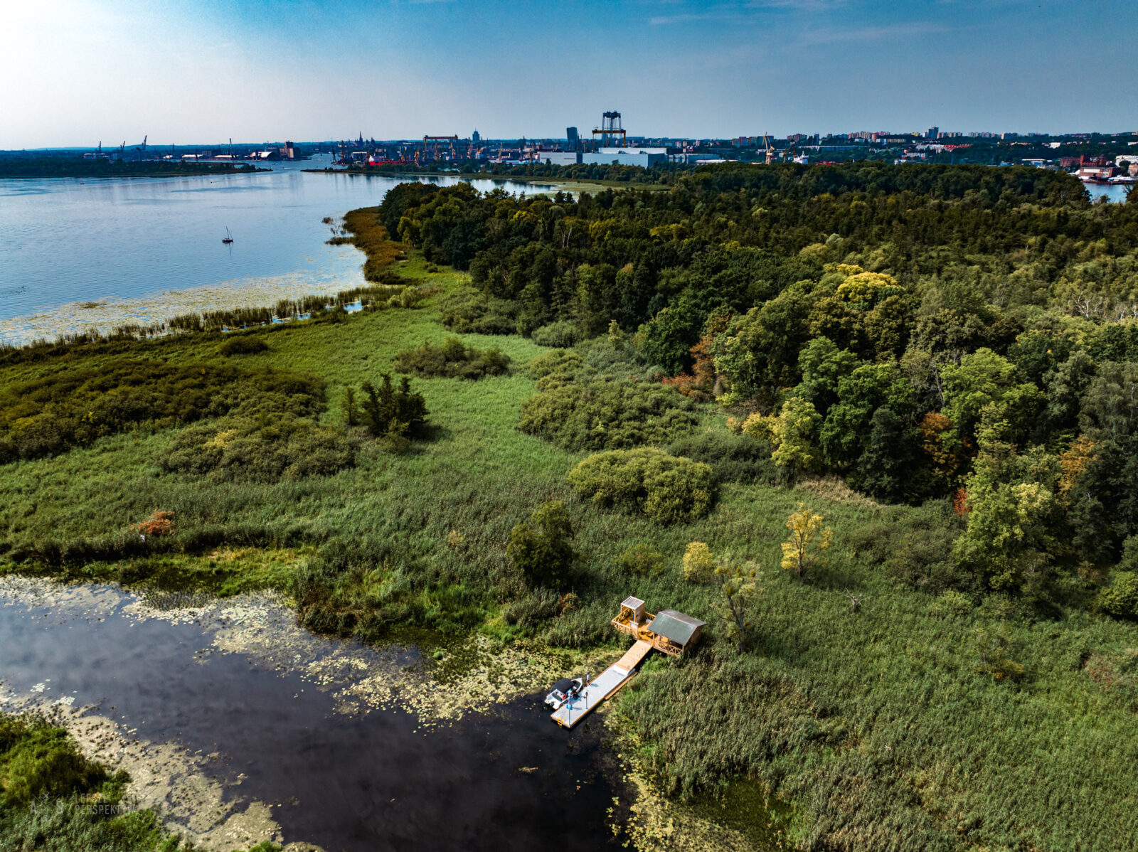 spacer, który otwiera oczy na naturę. michał książek zaprasza nad jezioro dąbie