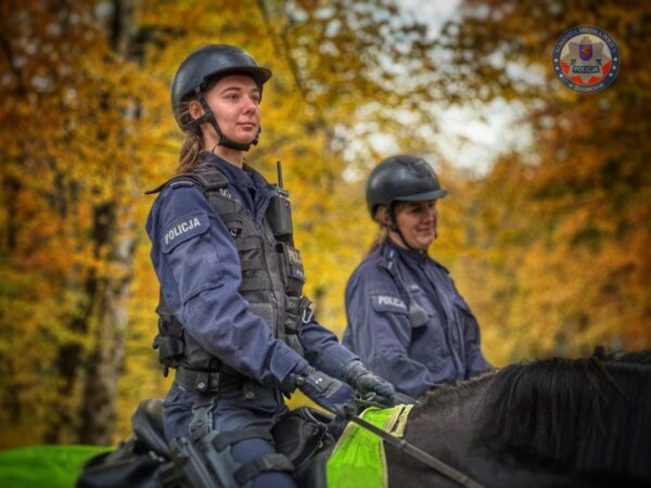 policyjna akcja na wszystkich świętych zakończona. 11 pijanych kierowców i setki wykroczeń