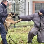 szczecińska policja włącza się w 34. finał wośp