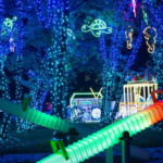 arkonka w blasku świateł. garden of lights po raz trzeci w szczecinie