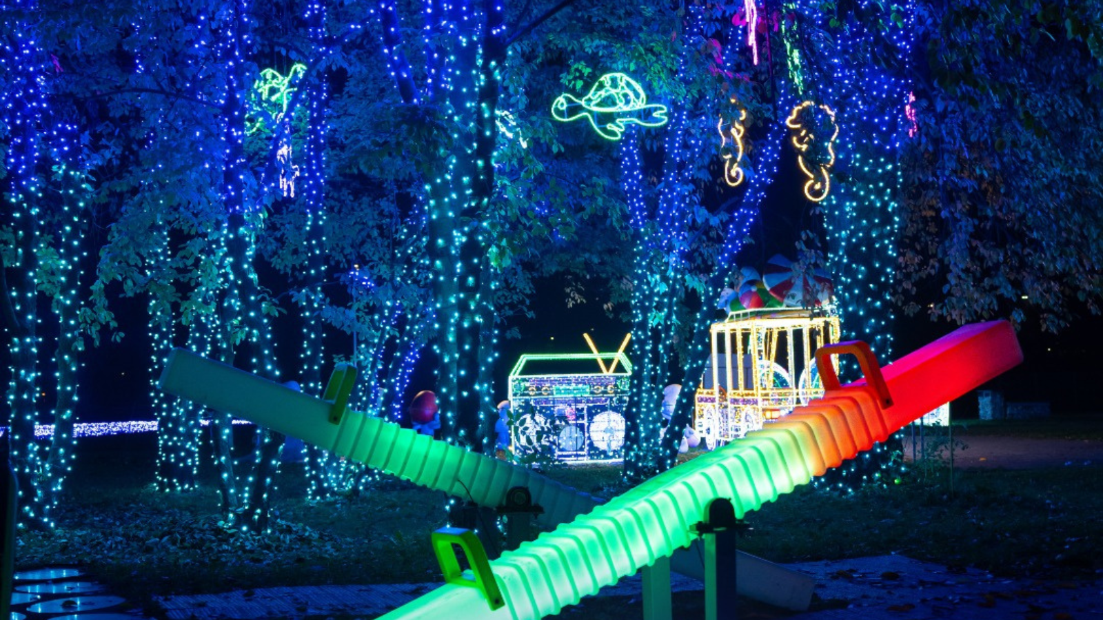 arkonka w blasku świateł. garden of lights po raz trzeci w szczecinie