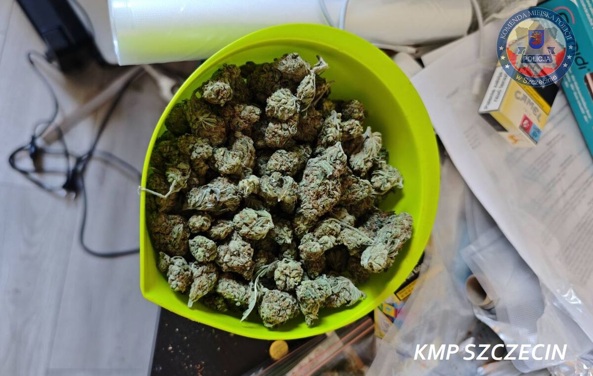 policja weszła do mieszkania – w środku była prawdziwa narkotykowa fabryka