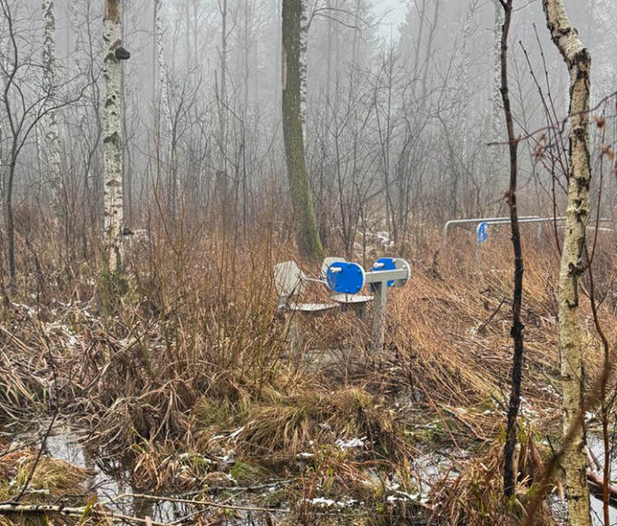 absurdalne inwestycje