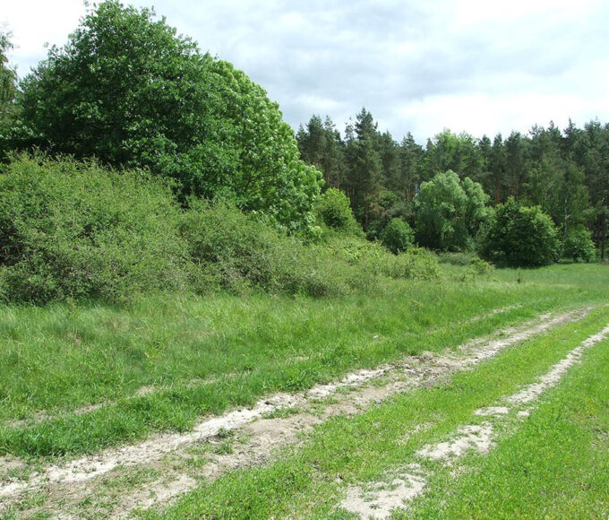 krasowo - gmina kołbaskowo