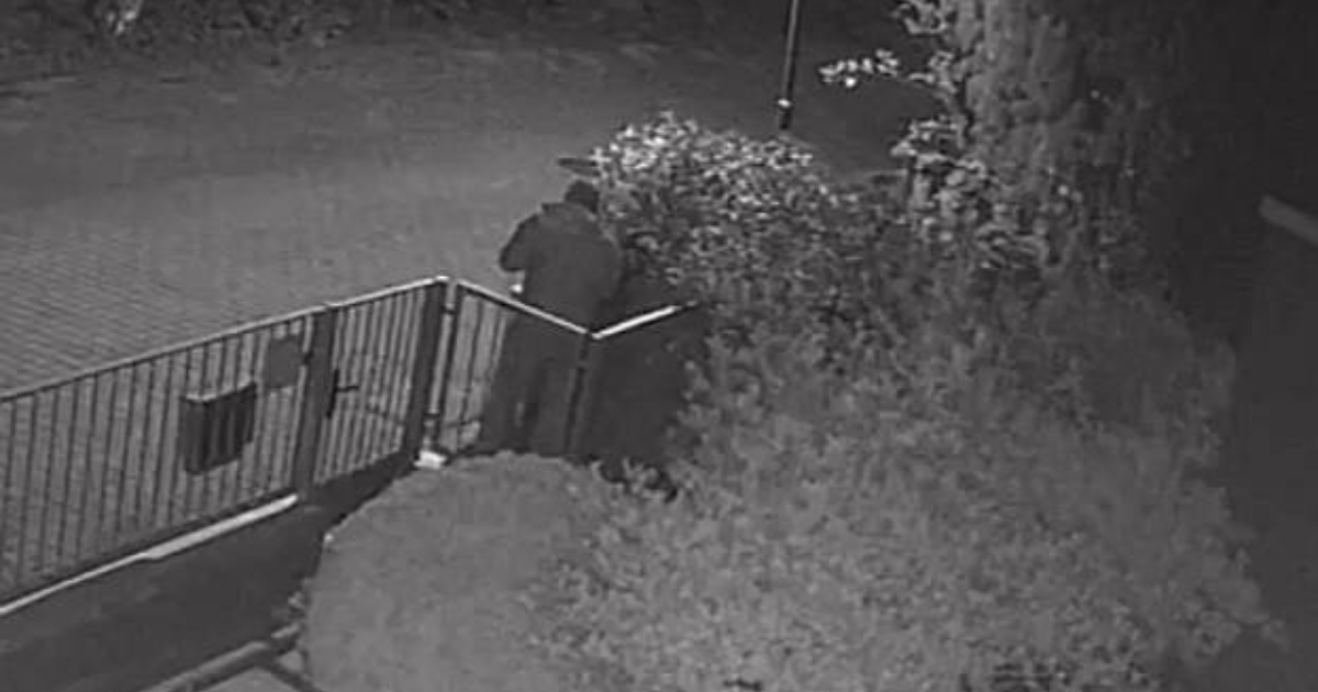 "gang oświetleniowy" uderzył na pogodnie. łupem padły… lampki z drzewa i płotu
