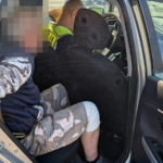 miał ponad 3 promile, zakaz prowadzenia i cofnięte prawo jazdy. mimo to wsiadł za kierownicę