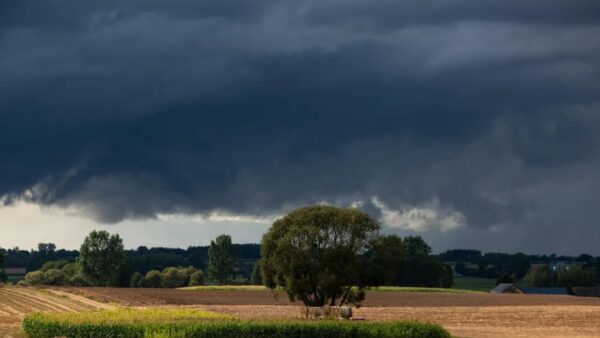 burze wracają nad szczecin. wydano ostrzeżenie, możliwy grad i silny wiatr