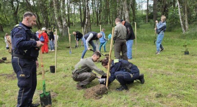 eko-osiedle w szczecinie. mieszkańcy posprzątali, świętowali i posadzili drzewa