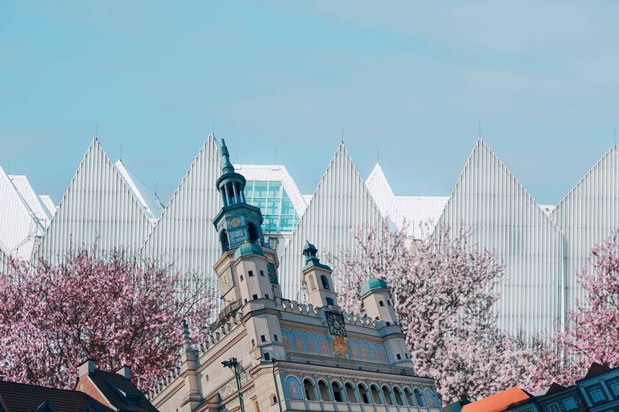 filharmonia szczecin