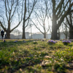 szczecin stawia na zrównoważony rozwój – dołącza do gds-index 2025