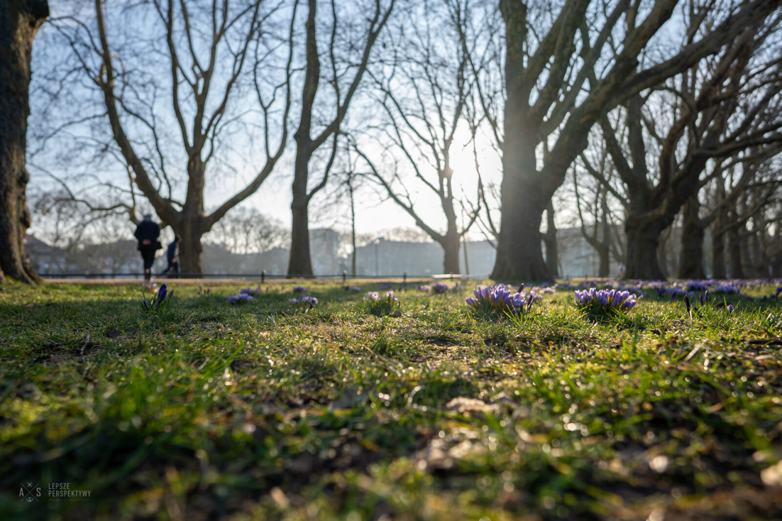 szczecin stawia na zrównoważony rozwój – dołącza do gds-index 2025