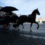 w świnoujściu koń z dorożką padł przy promenadzie. sprawę bada prokuratura