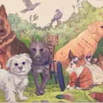 czworonożni przyjaciele czekają! dzień otwarty w schronisku dla zwierząt w szczecinie