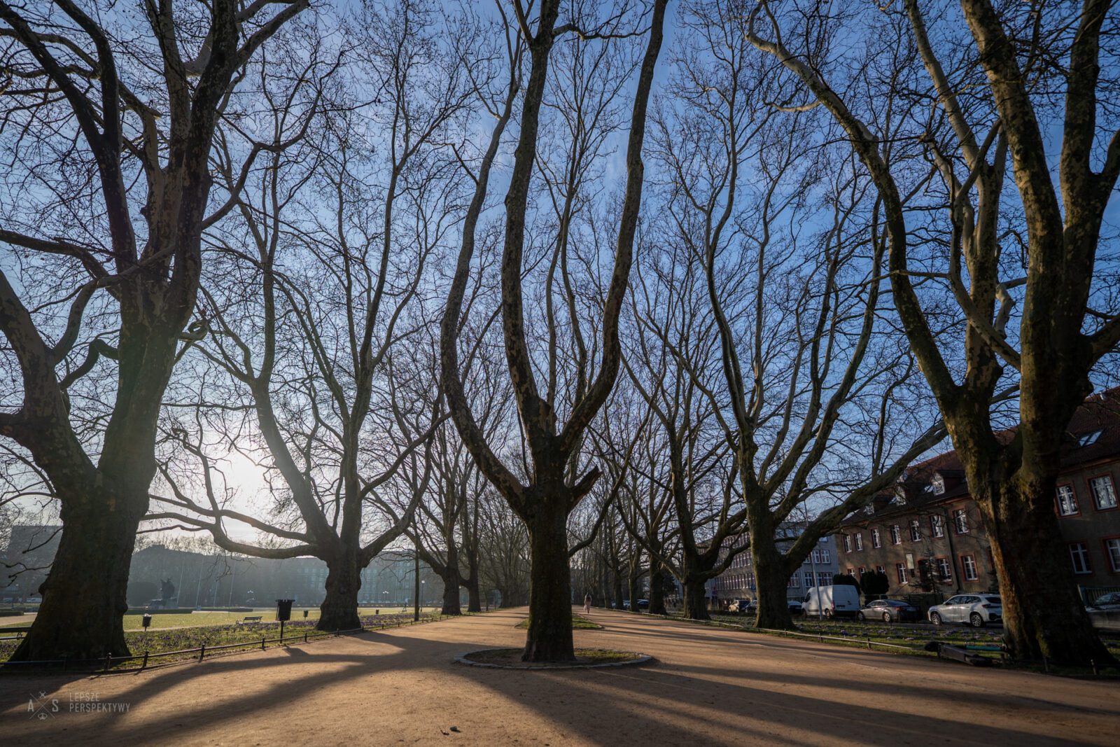 przed szczecinem ciepły i spokojny weekend. prognoza na 27 lutego - 1 marca