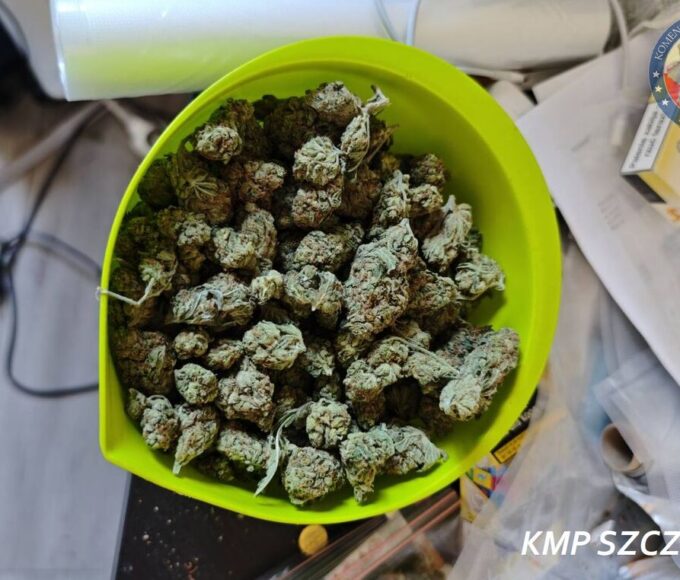 policja weszła do mieszkania – w środku była prawdziwa narkotykowa fabryka